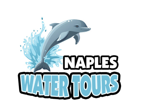 Dolphin Sightseeing Shelling Cruises